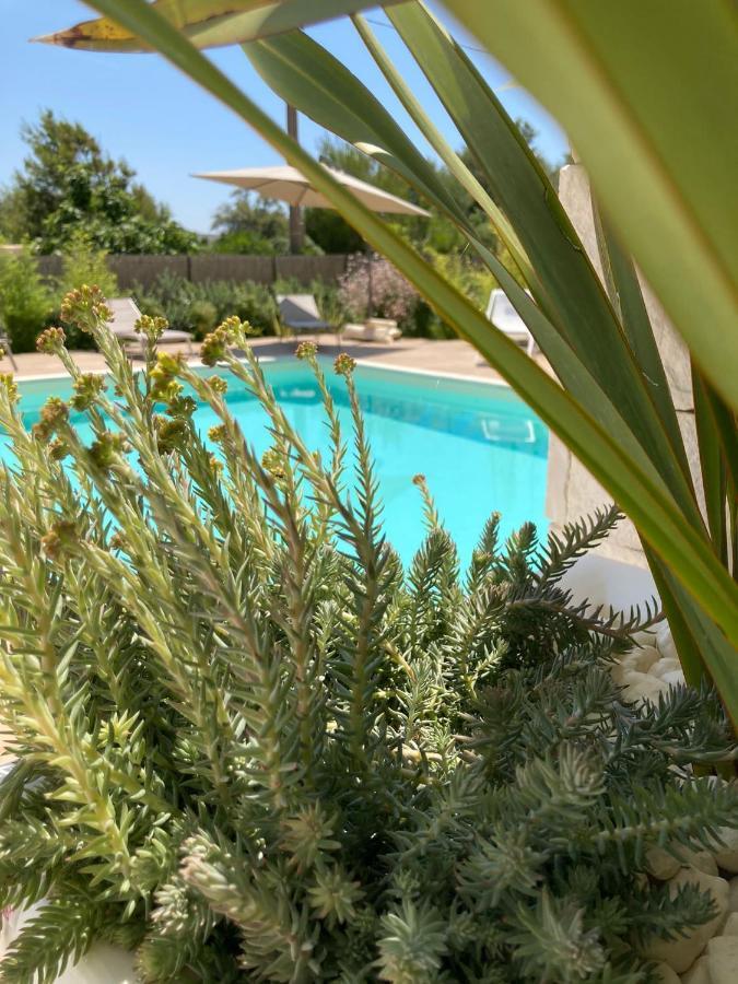Villa Il Marchese In Piscina à San Pietro in Bevagna Extérieur photo